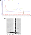 FIG 3