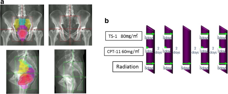 Fig. 1