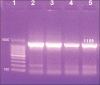 Figure-3