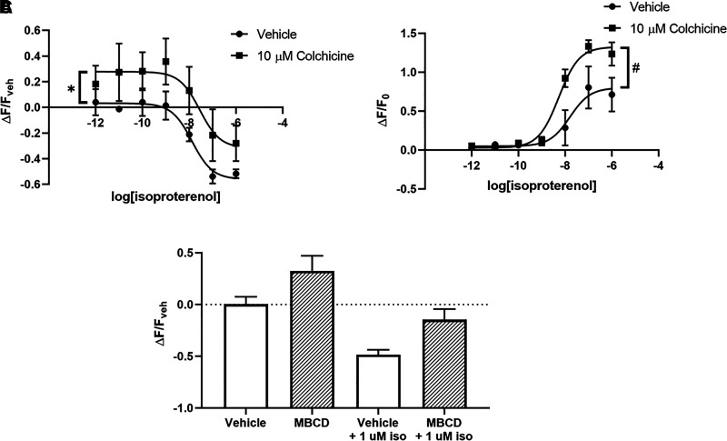 Fig. 11.