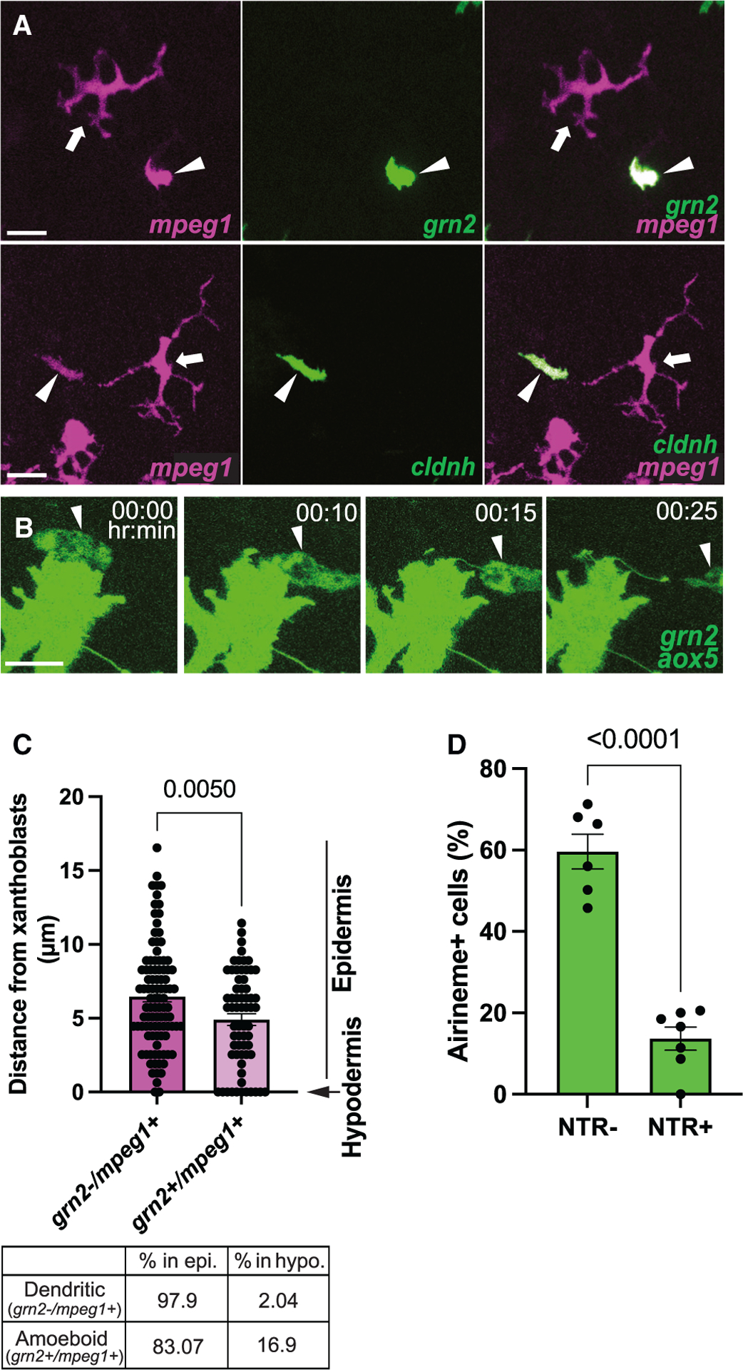 Figure 2.