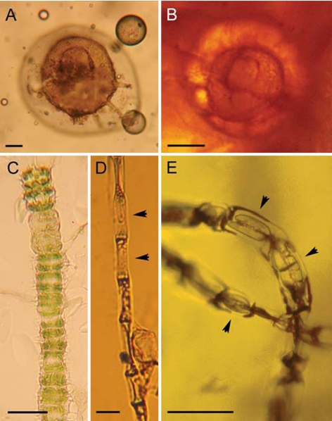 Fig. 3.