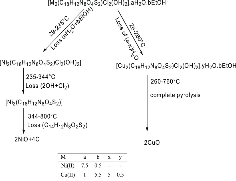 Scheme 4