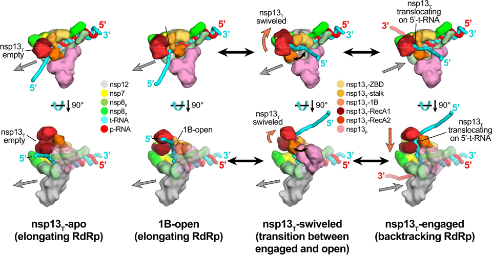 Fig. 6.