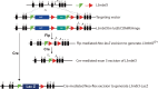 Figure 2—figure supplement 1.