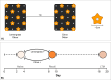 Experimental set-up (A) and protocol timeline (B) for the olfactory LTM experiment.