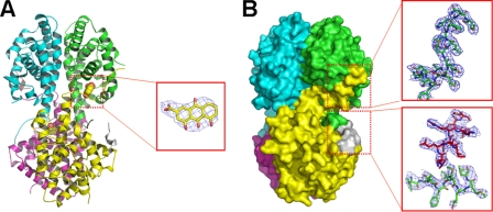 FIGURE 3.