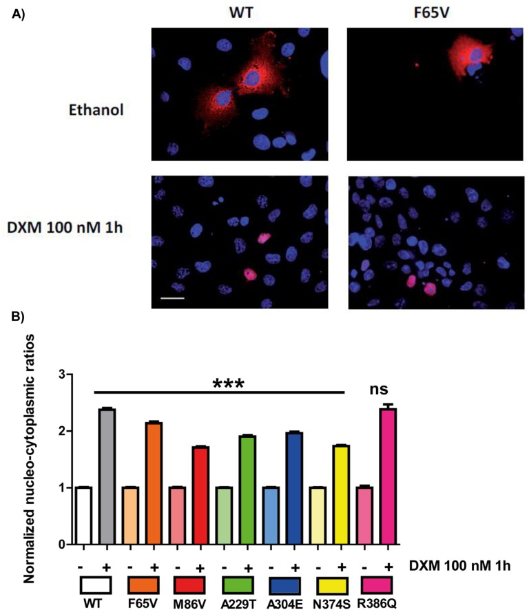 Figure 4.