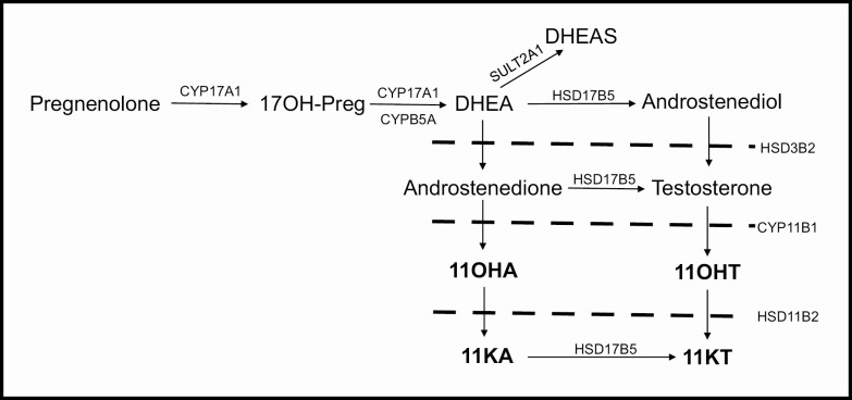 Figure 1.