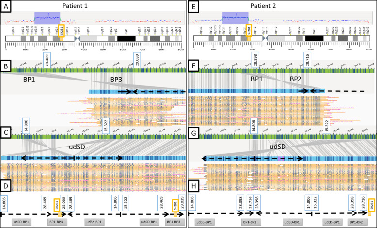 Fig. 3