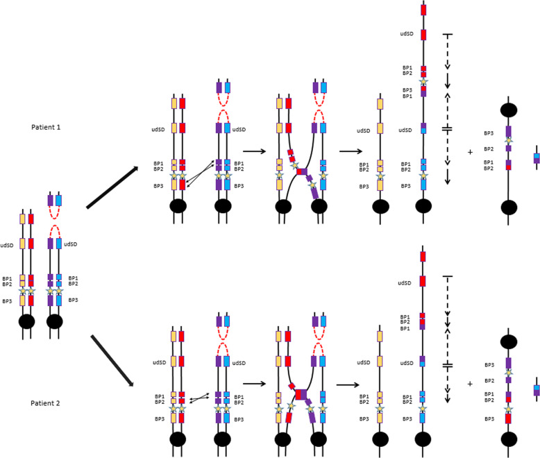 Fig. 4