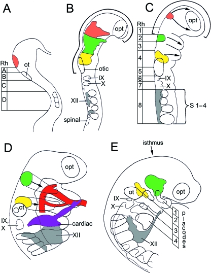 Fig. 1