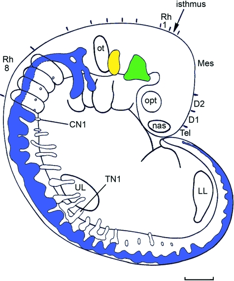 Fig. 6