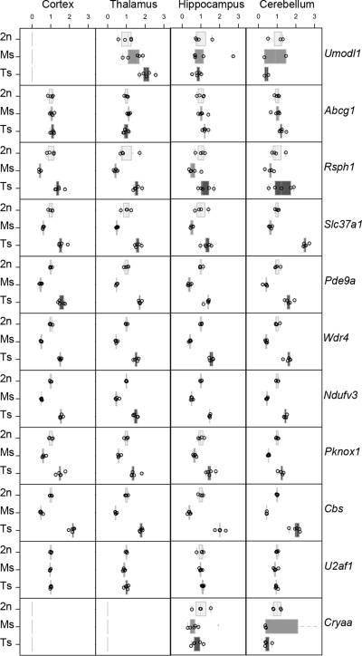 Figure 5.