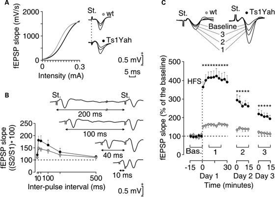 Figure 4.