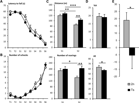 Figure 2.