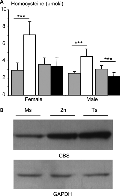 Figure 6.