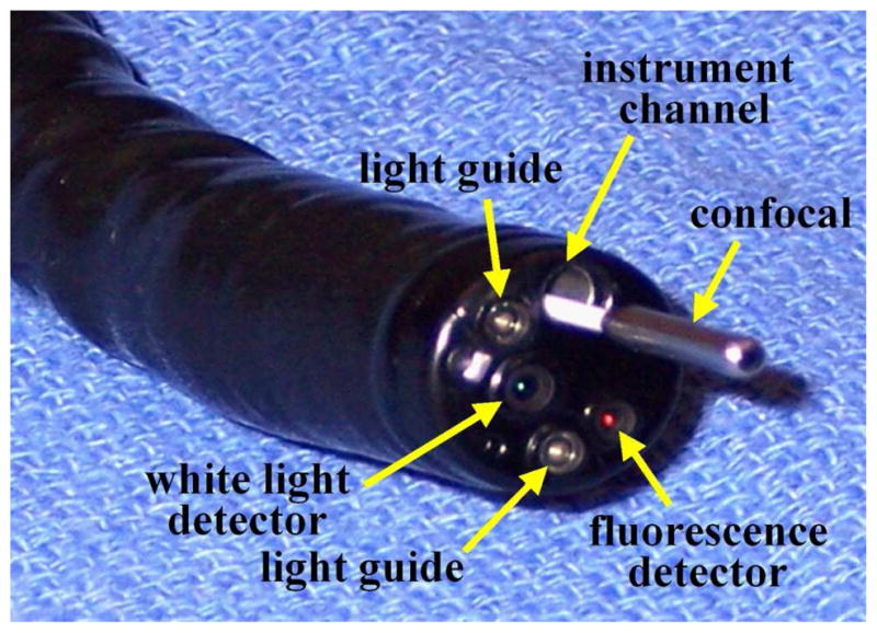 Fig. 1