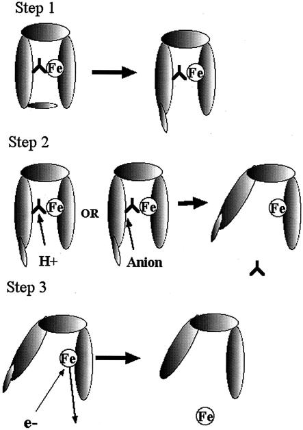 FIG. 6.