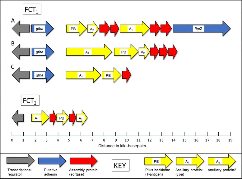 Fig. 2