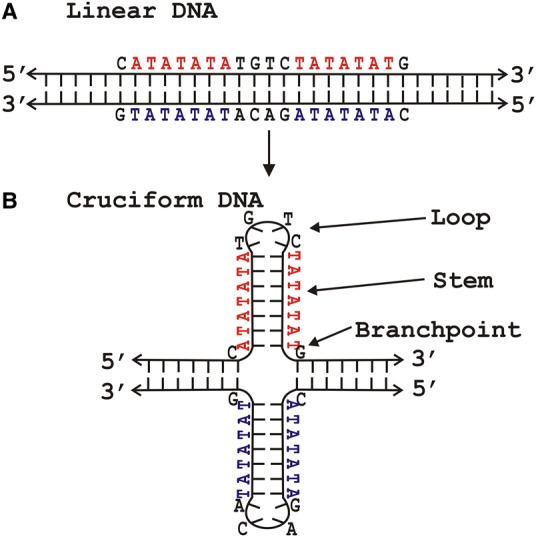 Figure 2.