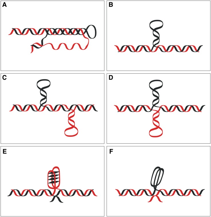 Figure 3.