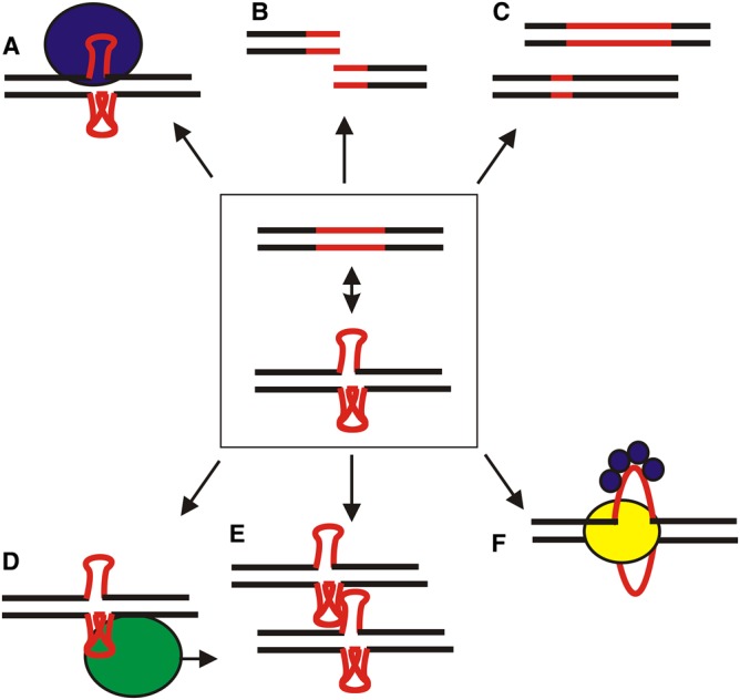 Figure 5.