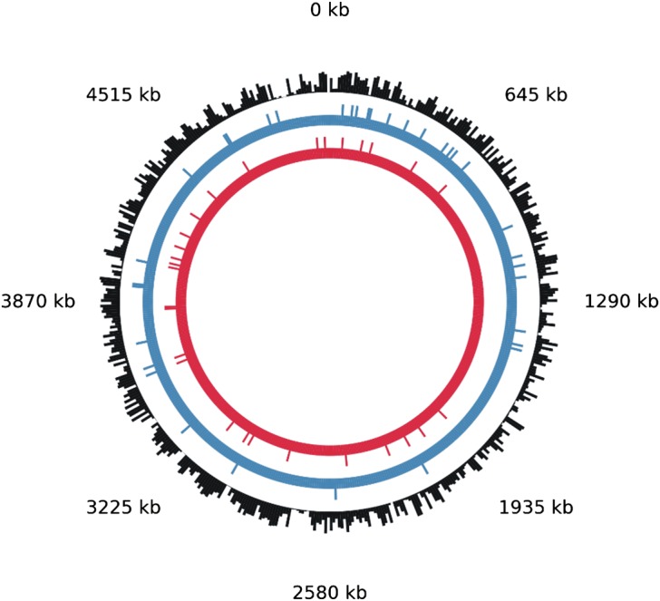 Figure 6.