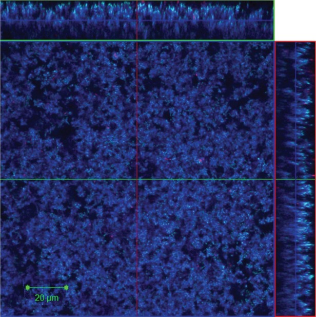 Fig. 2