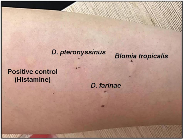 FIGURE 1