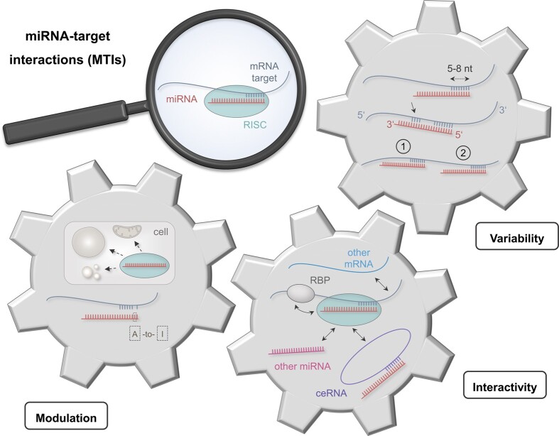 Graphical Abstract