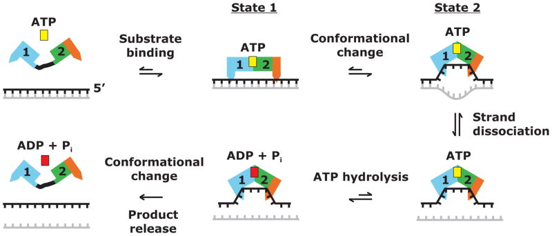 Figure 5