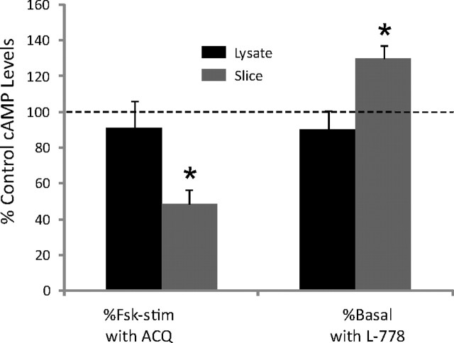 Figure 10.