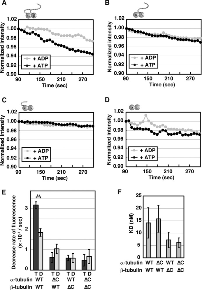 FIGURE 4.