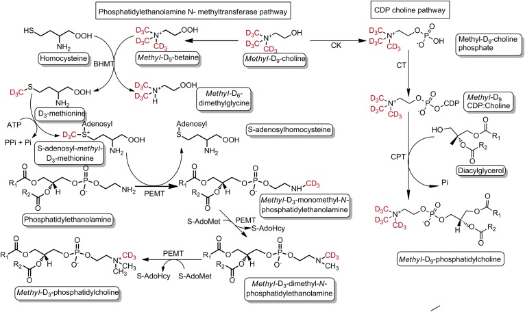 Fig. 4.