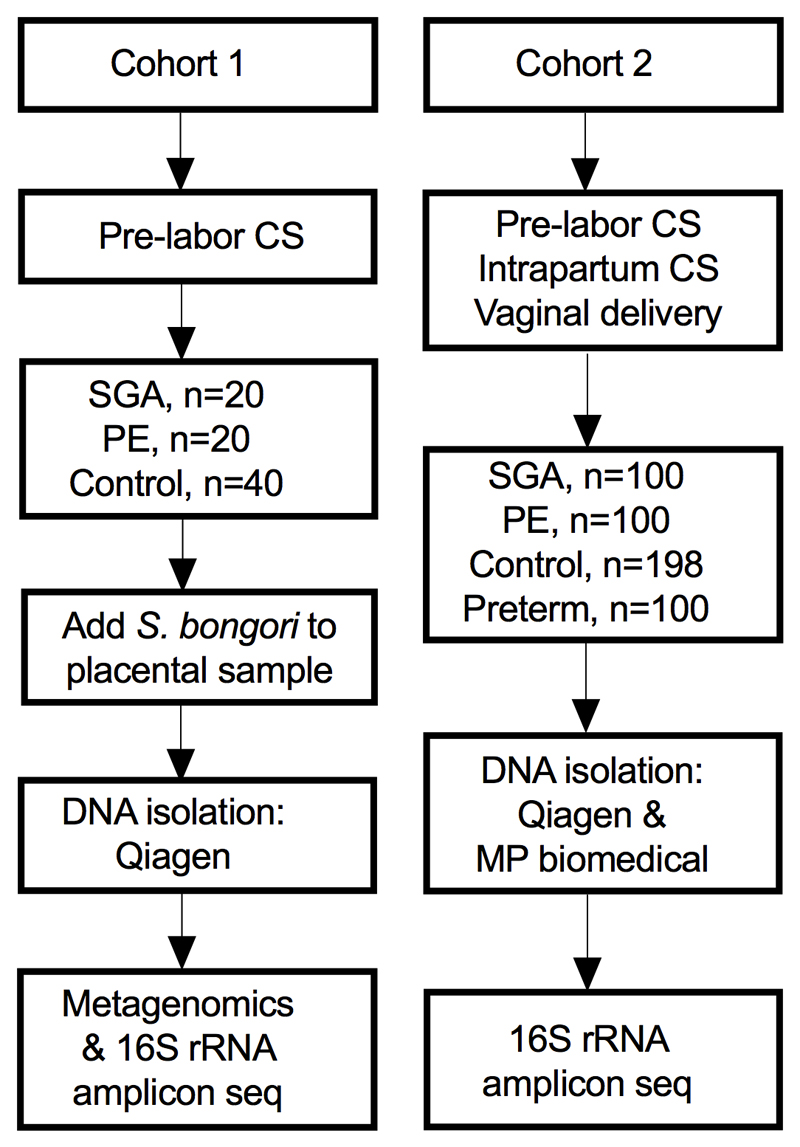 Extended Data Fig. 1