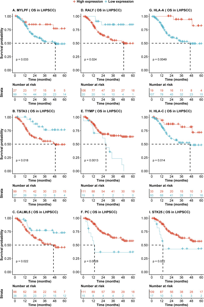 Proteomic Analysis Of Hypopharyngeal And Laryngeal Squamous Cell Carcinoma Sheds Light On