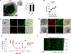 Extended Data Fig. 9 |