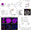 Extended Data Fig. 7 |