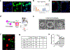 Extended Data Fig. 5 |