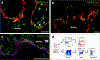 Extended Data Fig. 8 |