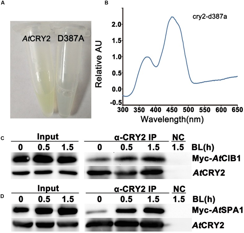 FIGURE 3