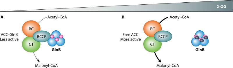 FIG 3