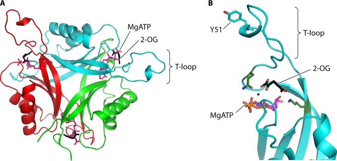 FIG 2