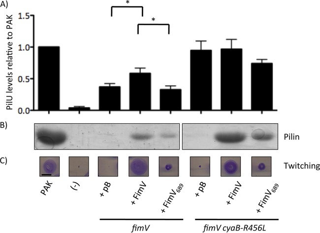 FIG 4