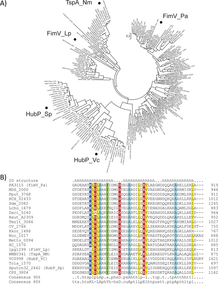 FIG 2