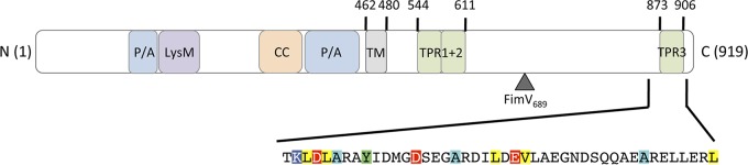 FIG 1