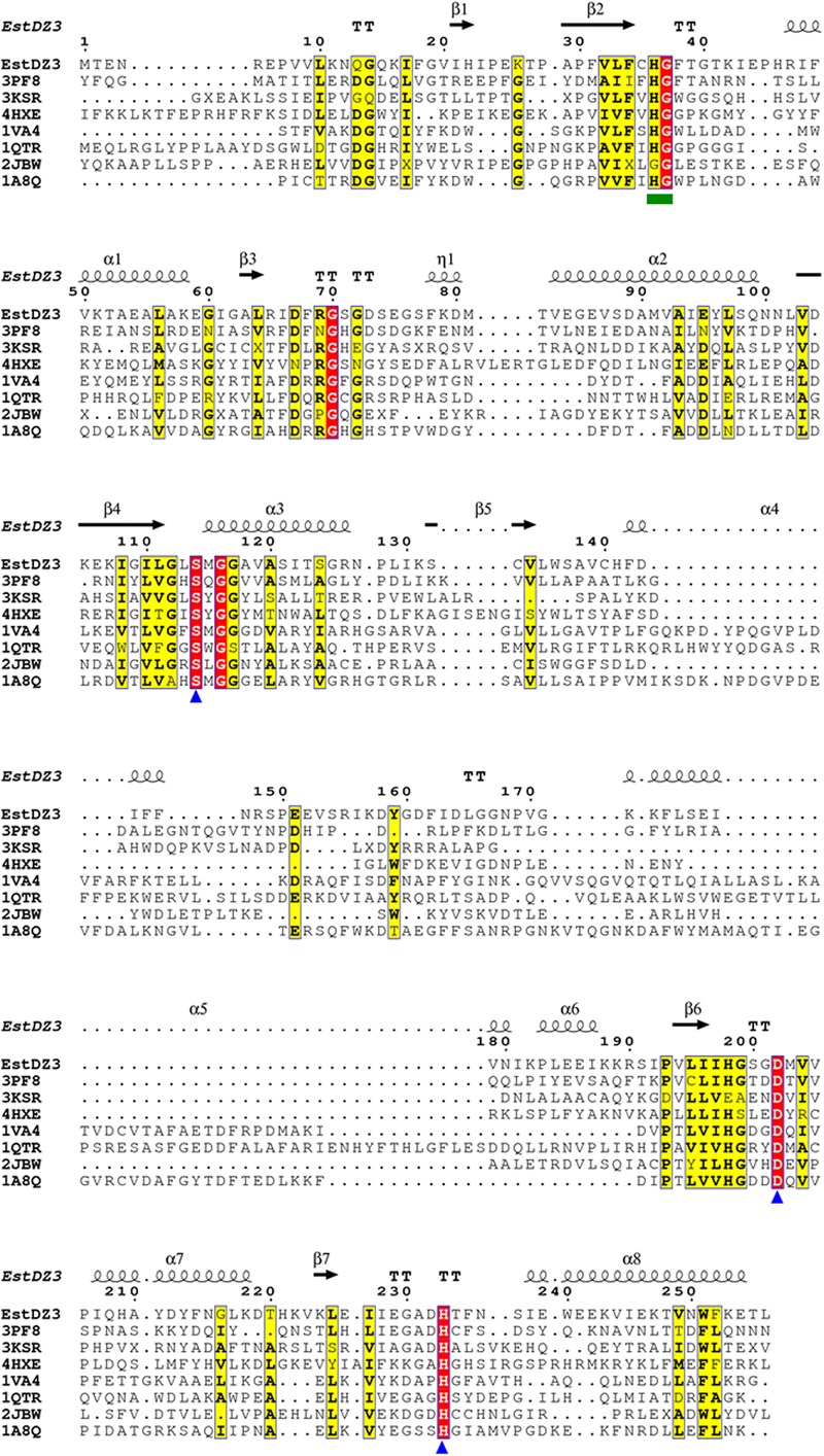 FIGURE 4