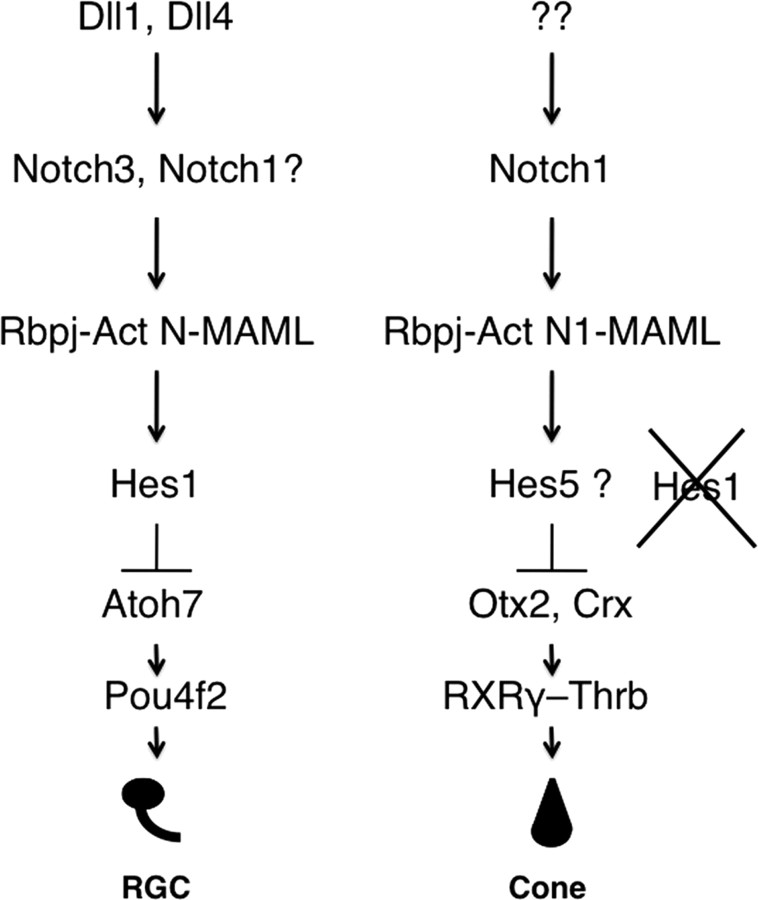 Figure 9.