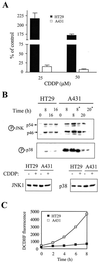 FIG. 8